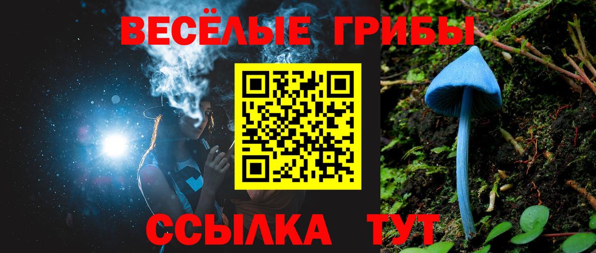 Галлюциногенные грибы MAGIC MUSHROOMS Тихорецк